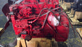 Motor Cummins 4BT 3.9 Turbo Diésel (Usado)